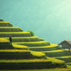 Chinese Tourist Welcome
